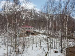 Nestled amidst a serene winter landscape, this property offers a unique retreat with its distinctive red-roofed building peeking through a grove of birch trees.