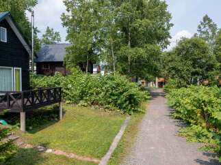 Discover this charming property nestled amidst lush greenery and mature trees.