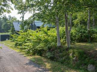Nestled amidst lush greenery, this property offers a serene retreat with a charming dark-colored house featuring a distinctive metal roof.