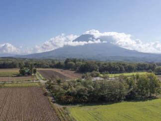 Land in Soga