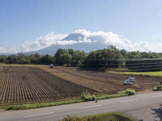 Discover the potential of this expansive agricultural land, perfect for farming and cultivation.