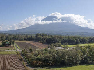 Discover this picturesque rural landscape featuring a majestic mountain partially shrouded in clouds, offering a serene backdrop to the cultivated fields below.
