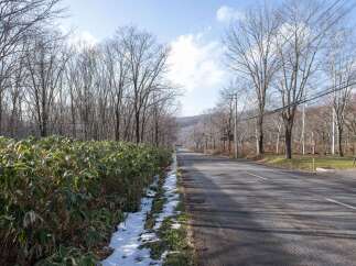 Discover this serene road lined with lush green foliage and mature trees, offering a picturesque setting.