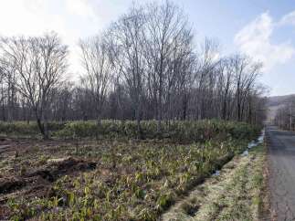 Discover this prime real estate opportunity featuring a cleared lot ready for development, adjacent to a paved road.