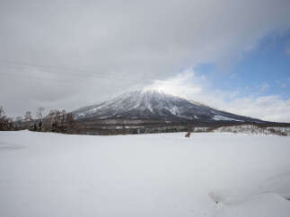 Land for sale in Izumi