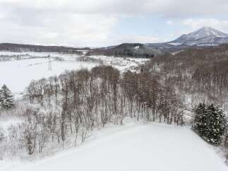 Experience the serene beauty of a winter wonderland with this stunning landscape.
