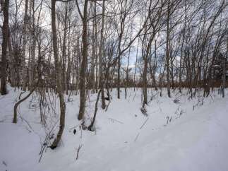 Discover the serene beauty of this winter wonderland, perfect for those seeking a peaceful retreat.