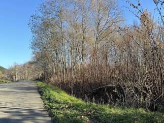 Discover this charming property nestled beside a scenic road, offering a tranquil escape.