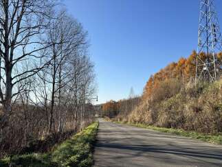 Discover this scenic property with a paved road leading through a landscape of bare trees and autumnal foliage.