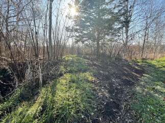 Discover this charming property with a natural, wooded setting, perfect for those seeking tranquility.