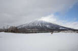 Experience the serene beauty of a winter wonderland with this stunning mountain landscape.
