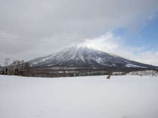 Experience the serene beauty of a winter wonderland with this stunning mountain landscape.