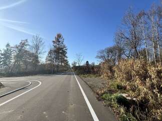 Discover a serene landscape perfect for outdoor enthusiasts, featuring a paved road winding through a natural setting with clear blue skies.
