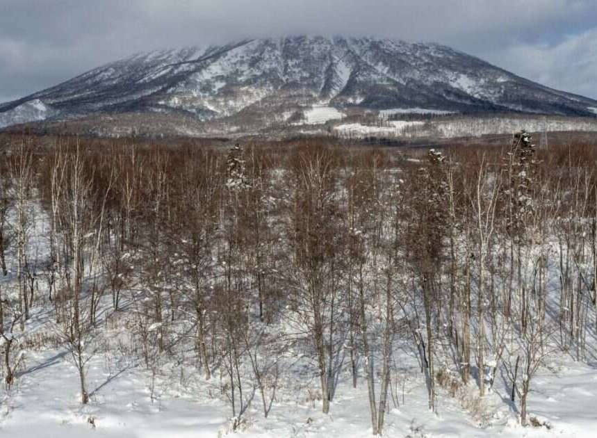 Discover your dream home nestled amidst a serene winter landscape.