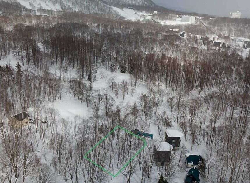 Discover your dream winter escape with this stunning property nestled amidst snow-covered trees.