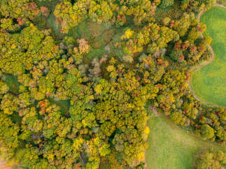 Experience the beauty of autumn with this stunning aerial view of a lush forest transitioning into vibrant fall colors.