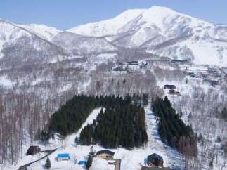 Land in Niseko