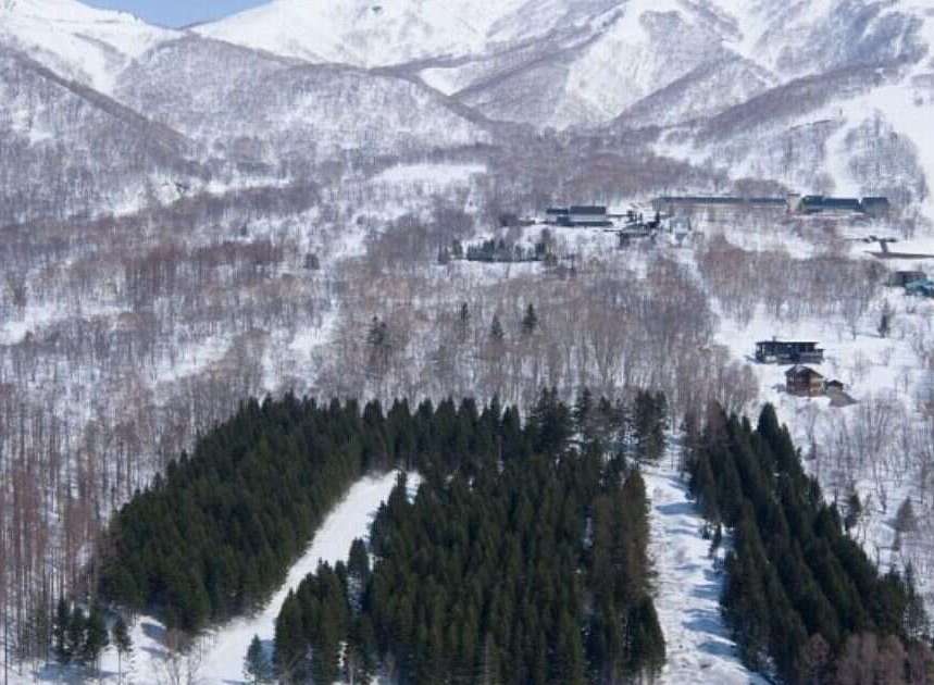 Discover your dream mountain retreat nestled amidst a winter wonderland.