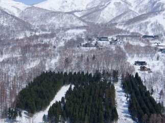 Discover your dream mountain retreat nestled amidst a winter wonderland.