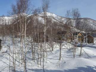 Experience the serene beauty of a winter wonderland with this charming property nestled amidst snow-covered hills and birch trees.