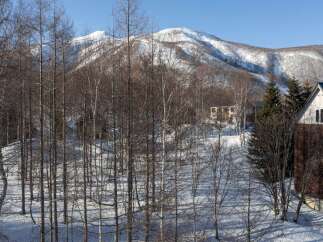 Experience the serene beauty of a winter wonderland with this charming property nestled amidst snow-covered trees and a majestic mountain backdrop.