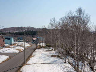Discover this charming residential area with a mix of colorful homes nestled amongst bare trees and lingering snow.