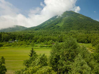 Discover a serene retreat nestled amidst lush greenery and rolling hills.