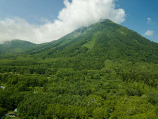 Discover a serene mountain retreat surrounded by lush, green forests.