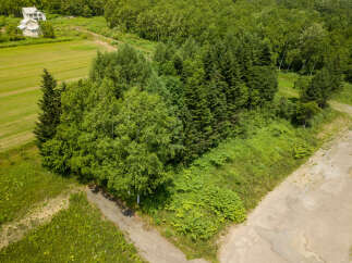 Discover this serene property nestled amidst lush greenery and mature trees.