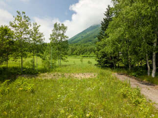 Discover a serene natural landscape perfect for your dream home or retreat.