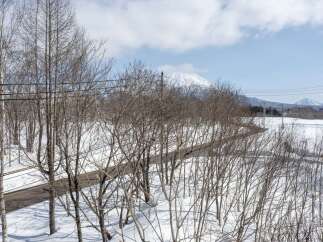Experience the serene beauty of winter with this picturesque landscape, featuring a snow-covered road winding through bare trees.