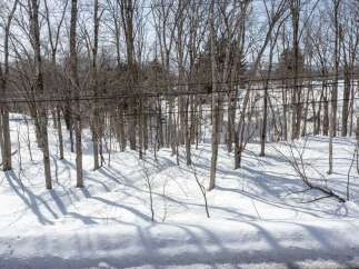 Embrace the serene beauty of winter with this picturesque property, nestled amongst a tranquil forest.