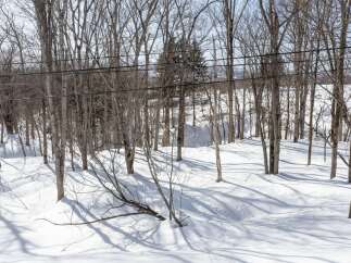 Embrace the tranquility of winter with this stunning property, nestled amidst a serene forest landscape.