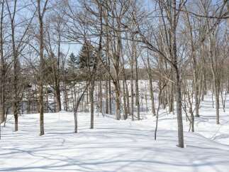 Experience the serene beauty of winter with this picturesque wooded landscape.