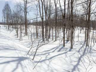 Embrace the serene beauty of winter with this picturesque property, featuring a tranquil snow-covered landscape perfect for outdoor enthusiasts.