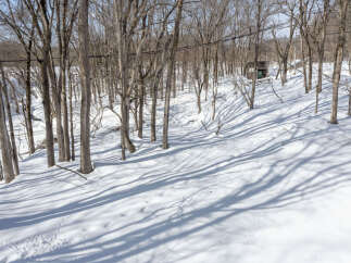 Discover this unique property nestled in a serene, wooded landscape, perfect for those seeking tranquility and a connection with nature.