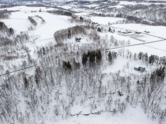 Discover this secluded winter retreat nestled amidst snow-covered trees.