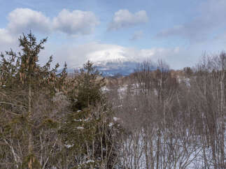 Experience the serene beauty of a winter wonderland from this property, offering breathtaking views of a snow-capped mountain.