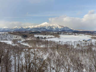 Experience the serene beauty of a winter wonderland with this stunning landscape.