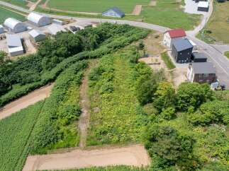 Discover this expansive undeveloped land, perfect for your next project.