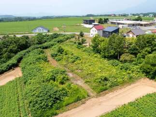 Discover this expansive undeveloped land, perfect for your next project.
