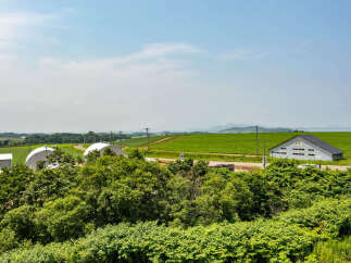 Discover this expansive rural property featuring lush green fields and rolling hills, perfect for agricultural endeavors or a serene getaway.