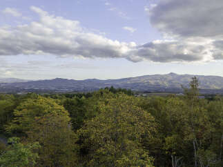 Land in Soga