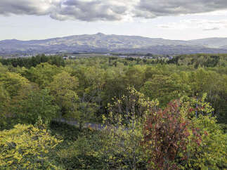 Experience the beauty of autumn with this stunning panoramic view, showcasing vibrant fall foliage cascading down rolling hills towards distant mountains.