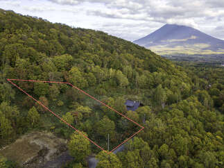 Discover this stunning property nestled amidst a vibrant autumn forest, offering breathtaking views of a majestic mountain.