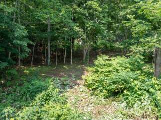 Discover the natural beauty surrounding this property, featuring a lush, wooded area perfect for outdoor enthusiasts.