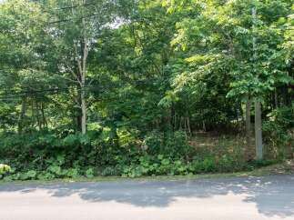Discover a serene natural setting perfect for your dream home.
