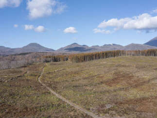 Land in Yunosato with 3 Beds