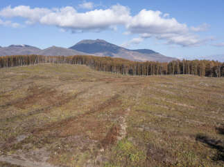 Land in Yunosato with 3 Beds