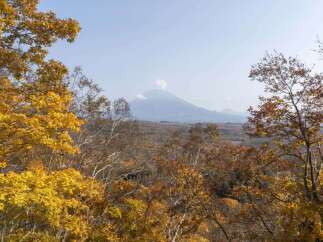 Experience the breathtaking beauty of autumn from this stunning vantage point.